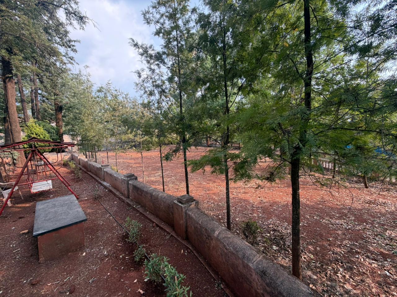 Forest corner near swing