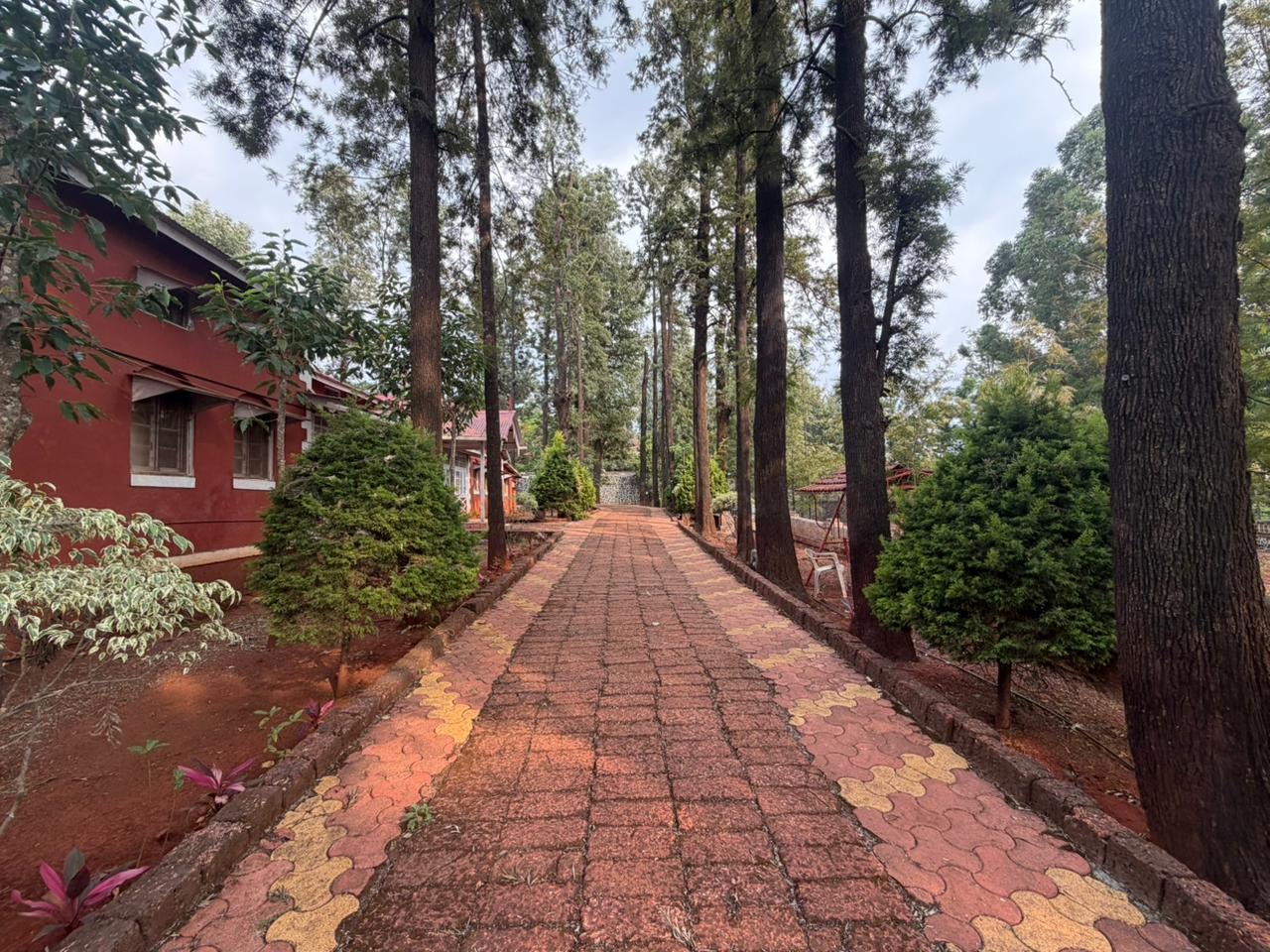 Tree lined estate pathway