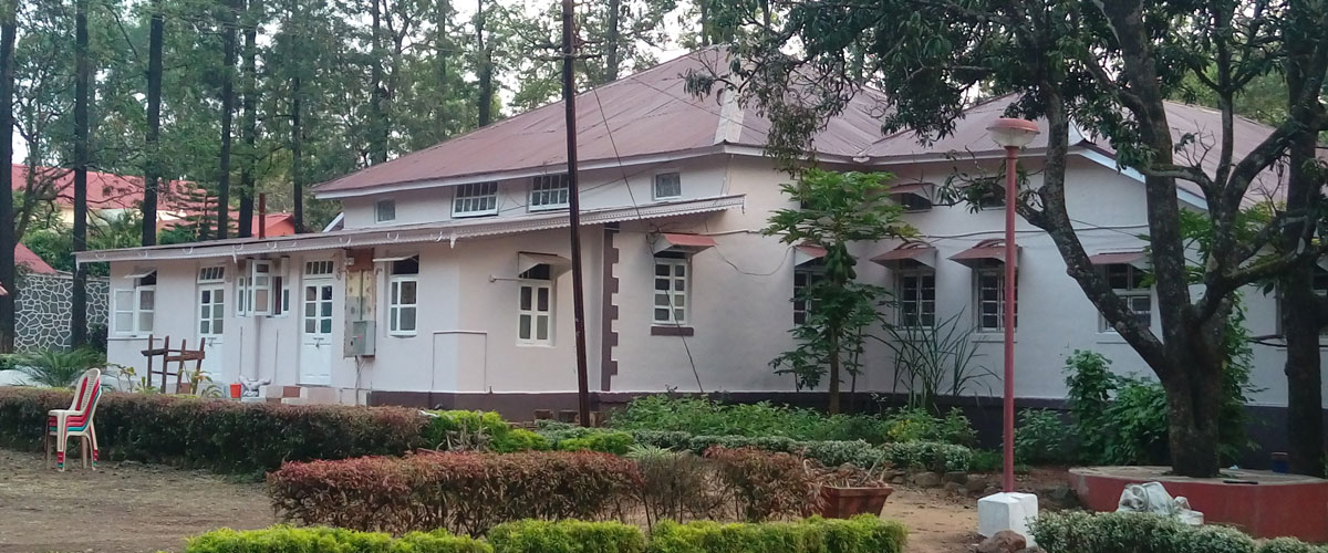 Hotel Krishna Villa